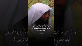 و لا ت ح س ب ن الل ه غ اف لا ع م ا ي ع م ل الظ ال م ون بدر المشاري 