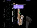 Download Lagu Endless Love on #saxophone - Full Performance 🎷 #sheetmusic #music #shorts