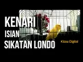 Download Lagu KENARI GACOR ISIAN SIKATAN LONDO