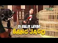 Download Lagu BANG JAGO VS BANG APOY, KALIAN JAGOIN SIAPA NIH??  | Behind The Scenes MV \