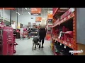 German Shepherd Training Phoenix I Board Train I Before After I GSD Trainers AZ I AllAmerican K9