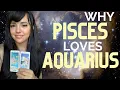 PISCES AND AQUARIUS LOVE COMPATIBILITY SYNASTRY