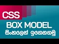 CSS Box Model and Box Sizing in Sinhala