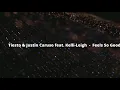 Tiesto & Justin Caruso feat. Kelli-Leigh  -  Feels So Good
