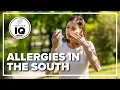 Why allergies may be worse in the South this year Weather IQ