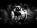 FUNK ABNORMAL (SLOWED) - DJ V12 & SXID