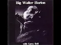 Big Walter Horton- Have a good time