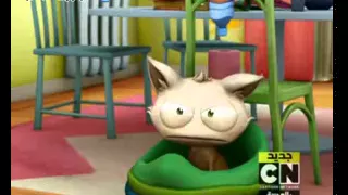 يحيا انجلو صندوق القطة 