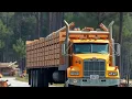 The Same Louisiana Acres Timber Going Out Lease Money Coming In