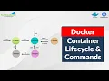 Docker Container Lifecycle and Commands K21 Academy