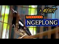 Download Lagu ANIS KEMBANG NGEPLONG PAGI, PANCINGAN AMPUH NAIKKAN EMOSI AK DIAM LANGSUNG NGEPLONG