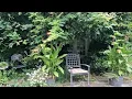 The Astrology of August 17 2026 Good ideas patient actions