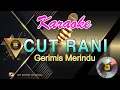 Download Lagu CUT RANI [Gerimis merindu ] 🎤🎶
