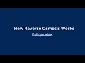 How Does Reverse Osmosis Work What is Reverse Osmosis Culligan