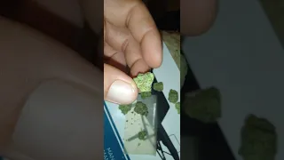 sour jack 23 muv 4-20-23 SmokeNLiftSparta