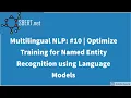 Multilingual NLP Optimize Training for Named Entity Recognition using Language Models