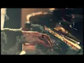 Hollow Coves & Oskar Schuster - These Memories (Piano Rework)