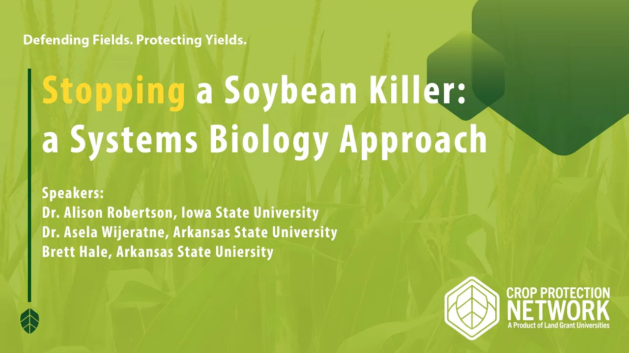 Stopping a Soybean Killer A Systems Biology Approach