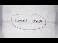 Download Lagu The Band CAMINO - Sorry Mom (Lyric Video)