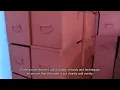 clipper for sheep ed sheeran sheep meme shearers Chinese custom order high quality manufacture