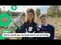 Download Lagu Vliegen met echte drones straks verboden voor kinderen