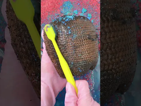 CLEANING SQUISHY ASMR 🦷🦷Tooth#asmr
