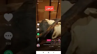 هذا هي مومياء فرعون 