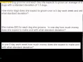 AP Statistics Transforming and Combining Random Variables
