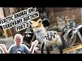 Missouri Exotic Animal Auction Part Two