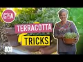 Easy Terracotta Pot Tips and Tricks Gardening Hacks Gardening Australia