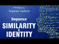 Sequence similarity and identity