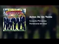 Actos de un Tonto - Conjunto Primavera