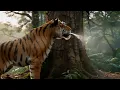 Did you know tiger pee smells like popcorn