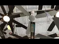Patriot Lighting Industrial 56 Ceiling Fan at Menards