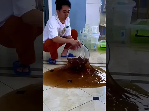 Jelly 🤯 New Viral Gadgets, Smart Appliances, Kitchen Utensils/Home Inventions #shorts