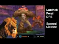 Rank 9 Loatheb - Naxxramas Feral DPS Classic WoTLK