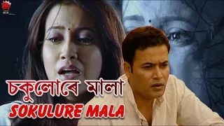 sokulure mala gotha aloxuwa mon assamese video song zubeen garg barsha rani bishaya