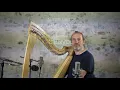 Autre Chose pour Harpe à Leviers / L'Envol / Harpe et Composition François Pernel