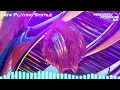 Cytochrome C - Milkyway Festival #2 #CCMWF @alohaiimusic @burnwolfpromotions @CriminalCode