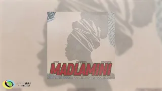 dooushii and scotts maphuma madlamini feat mellow u0026 sleazy official audio 
