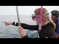 Baja Swimming with Whale Sharks in La Paz Pati s Mexican Table S7 E7
