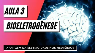 Videoaula 3 Bioeletrogênese