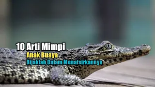 10 meanings of dreams about crocodiles be wise in interpreting them