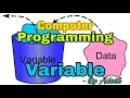 Constants and Variables - Programming fundamentals