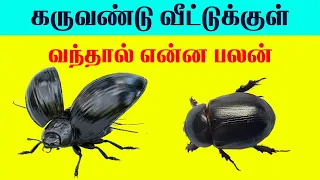  indian astrology predictions karuvandu t tamil technology