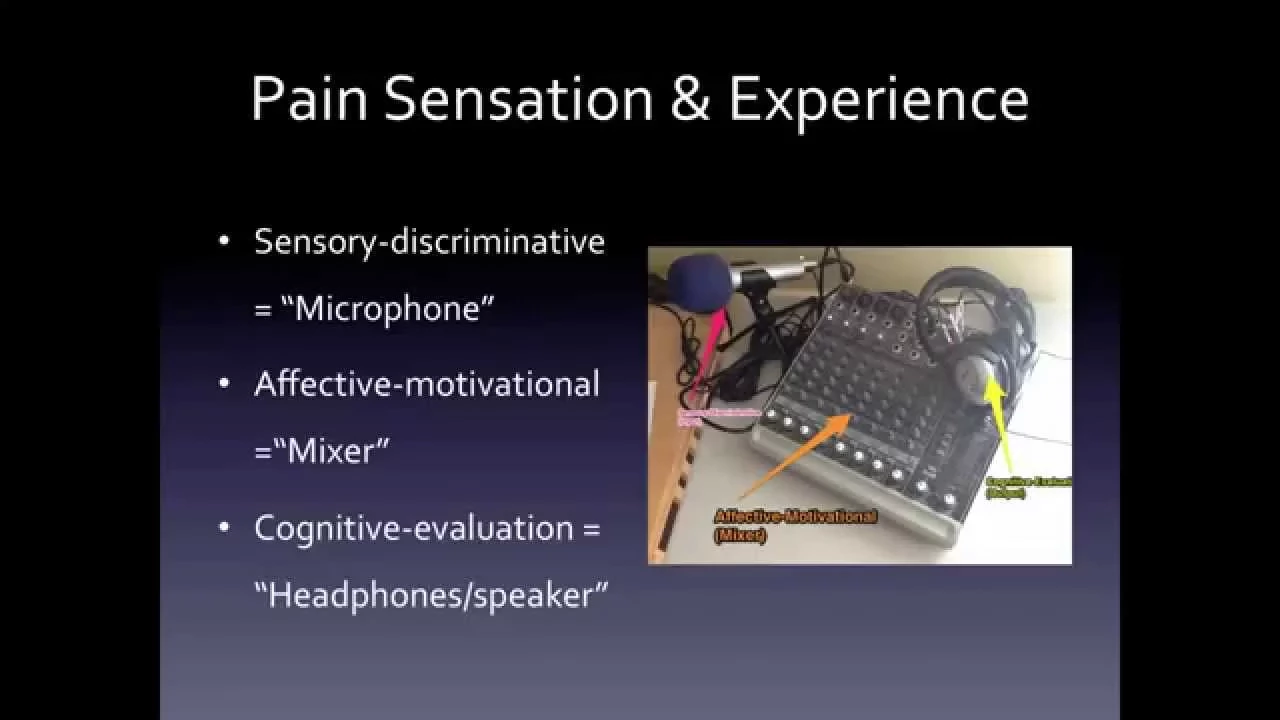 Understanding Pain Part One: What Is 'Pain?'