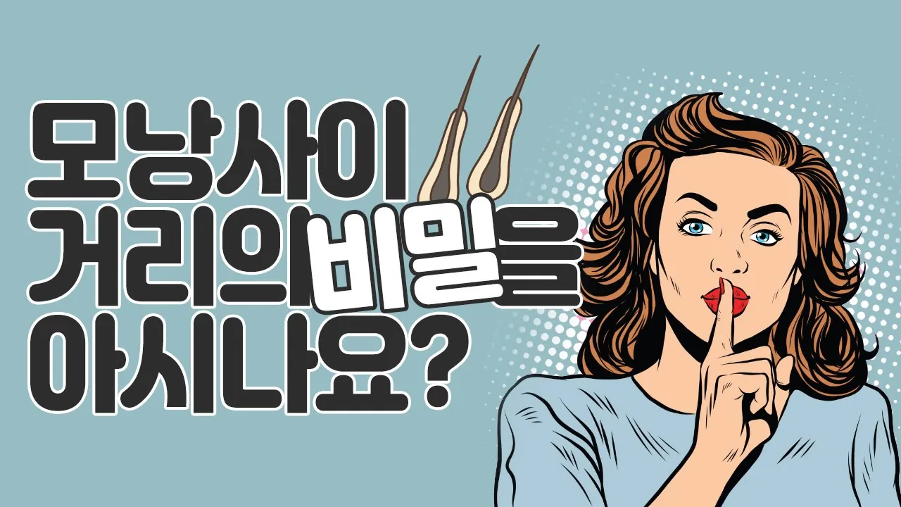 의느님답변📂ㅣ모낭사이 거리의 비밀을 아시나요?
