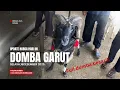 Lagu HARGA DOMBA GARUT HARI INI SELASA 16 DESEMBER 2025 PASAR DOMBA TANJUNGSARI SUMEDANG 