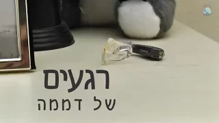אוסקר ערמונים 2017 רגעים של דממה 