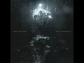 Pale Shadow - What Lies Below